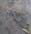 /album/rok-20111/imag0447-jpg/