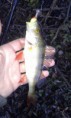 /album/rok-20111/imag0458-jpg/